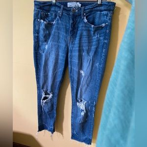 Torrid straight high rise jeans - size 12